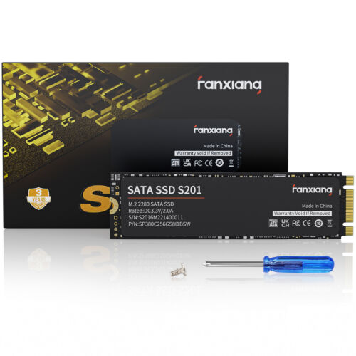 Fanxiang sata 256gb - fanxiang,